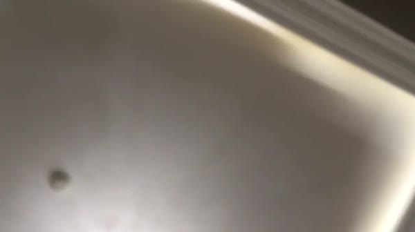 91康先生宁波大红鹰学院学生妹